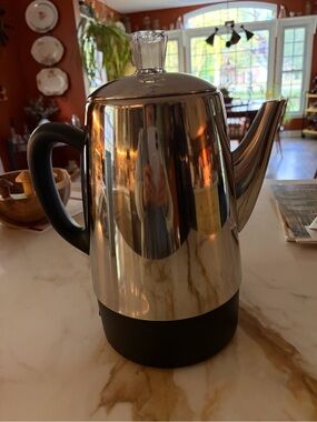 Polished Stainless Steel Electric Kettle with Black Handle